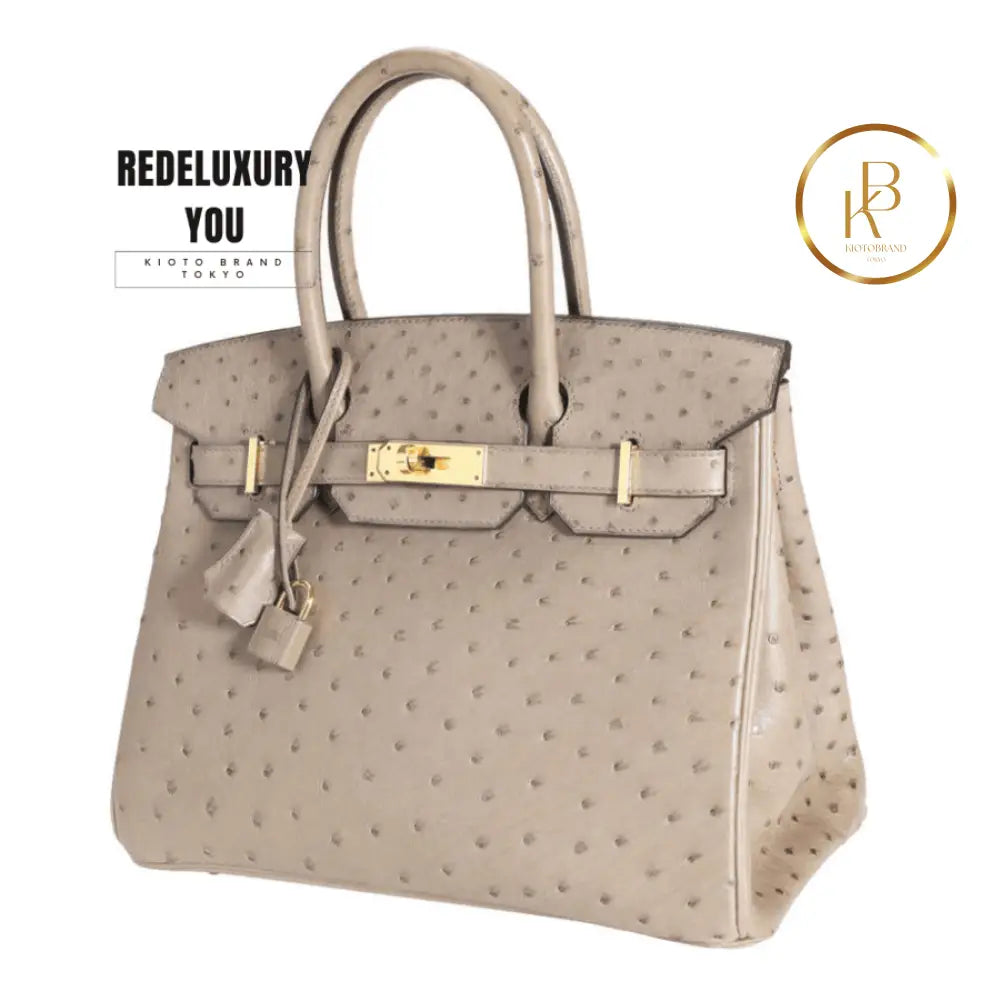 Birkin 25 Grey Tourterelle Ostrich Leather