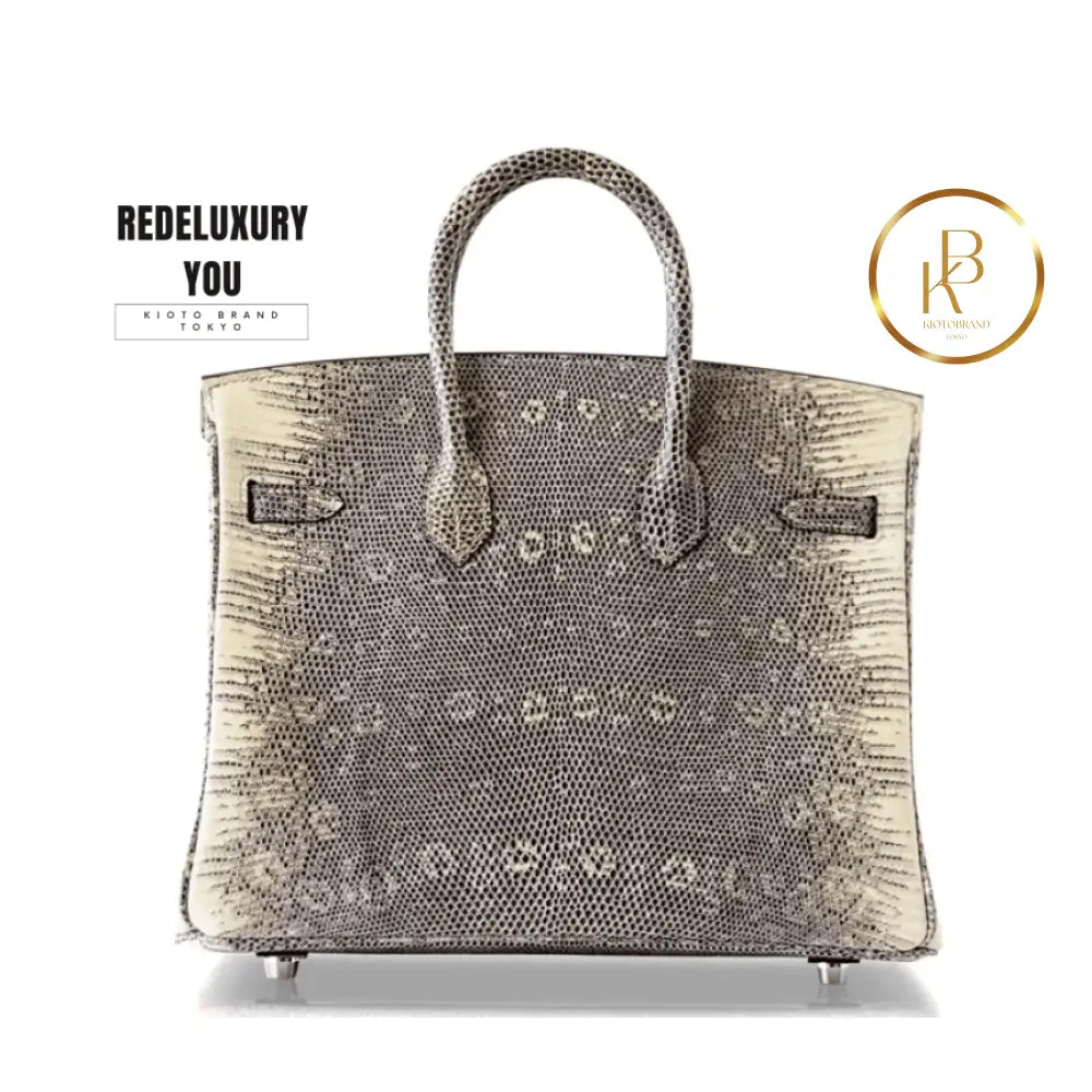 Birkin 25 Ombre Lizard Palladium Hardware
