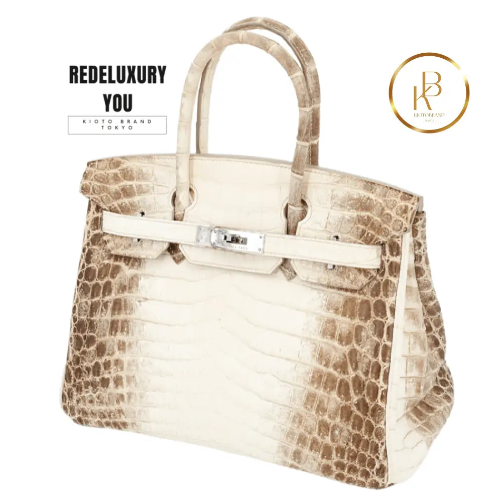 Birkin 30 Himalaya Matte Nile Croc