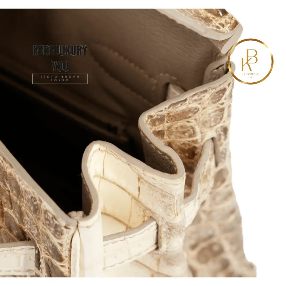 Birkin 30 Himalaya Matte Nile Croc