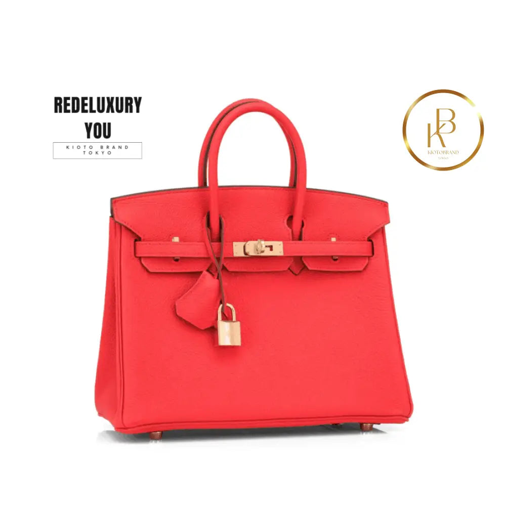 Birkin 25 Capucine Orange Red