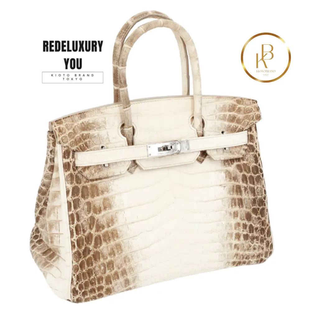 Birkin 30 Himalaya Matte Nile Croc