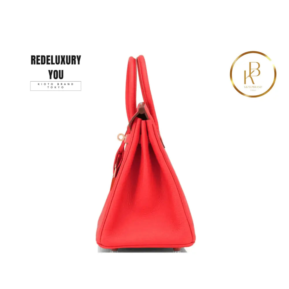 Birkin 25 Capucine Orange Red