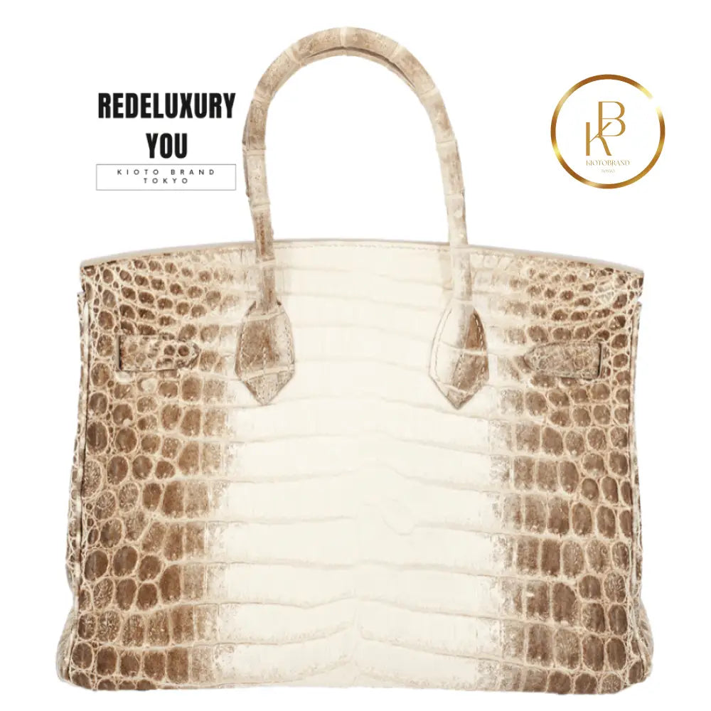 Birkin 30 Himalaya Matte Nile Croc