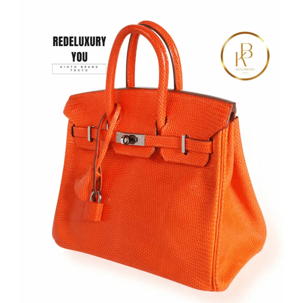 Birkin 25 Tangerine Shiny Lizard