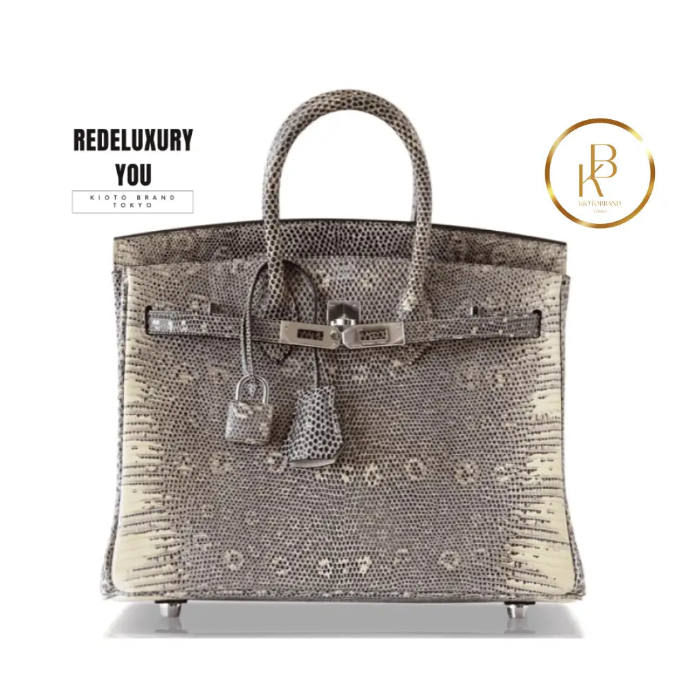 Birkin 25 Ombre Lizard Palladium Hardware