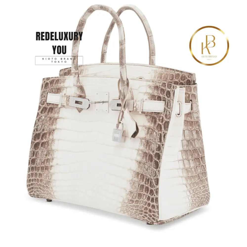 Birkin 30 Matte Himalaya Niloticus 18K White Gold Diamond Hardware