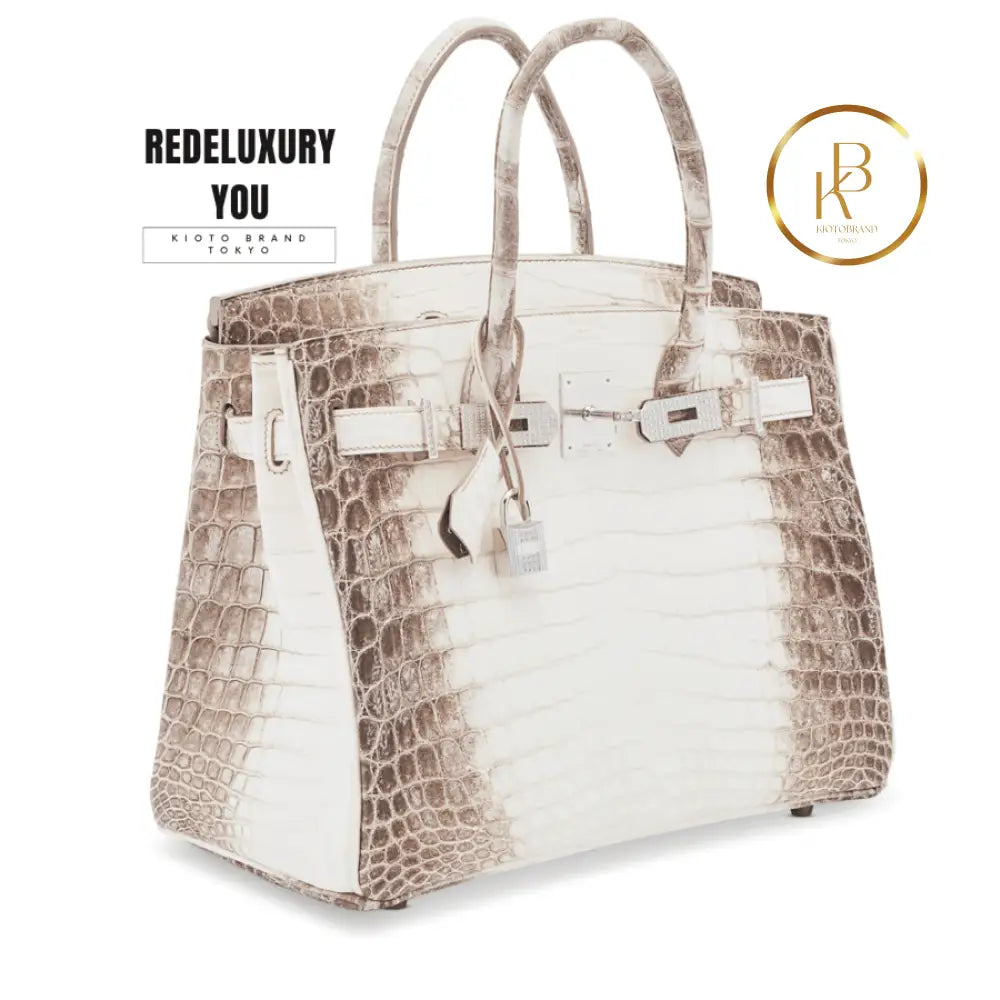 Birkin 30 Matte Himalaya Niloticus 18K White Gold Diamond Hardware