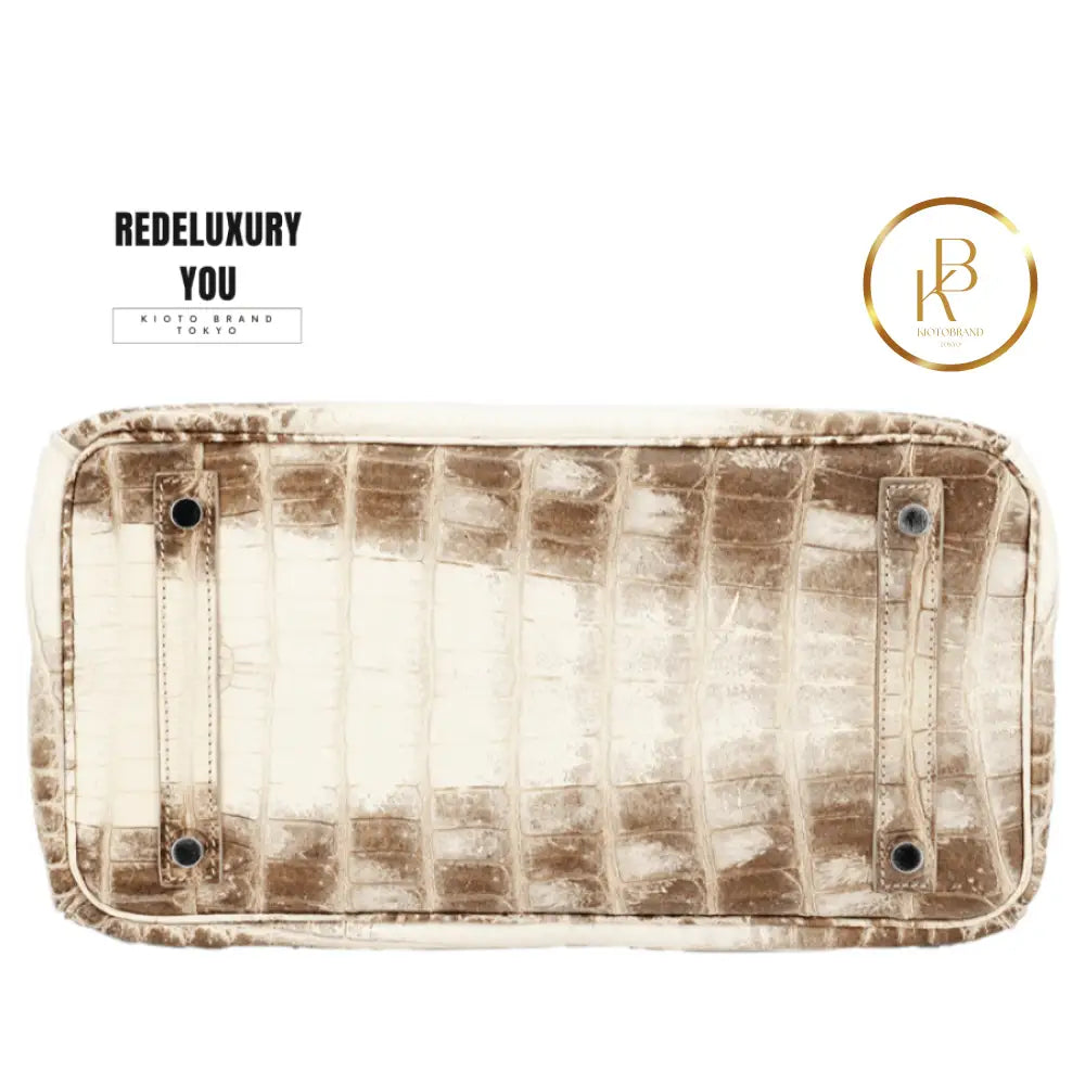 Birkin 30 Himalaya Matte Nile Croc