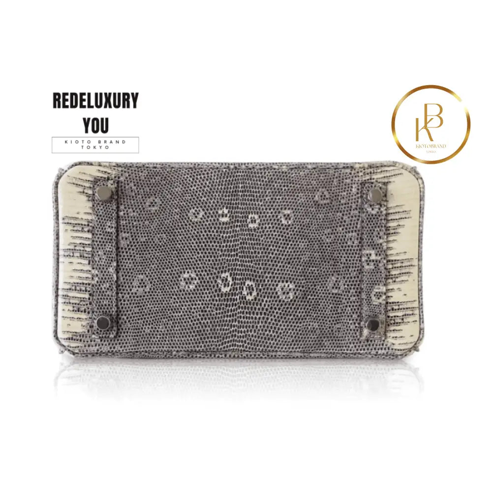 Birkin 25 Ombre Lizard Palladium Hardware