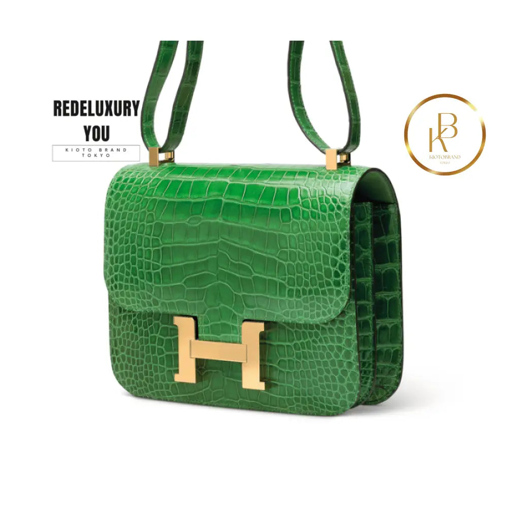 Constance 24 Shiny Cactus Alligator
