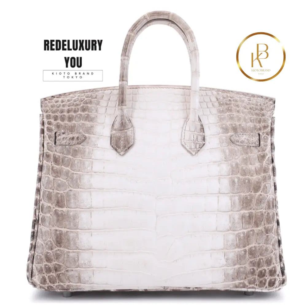 Birkin 25 Himalaya Matte Nile