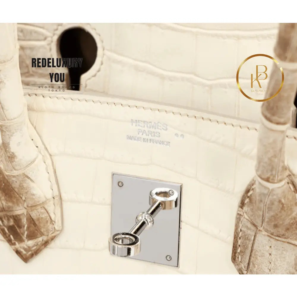 Birkin 30 Himalaya Matte Nile Croc