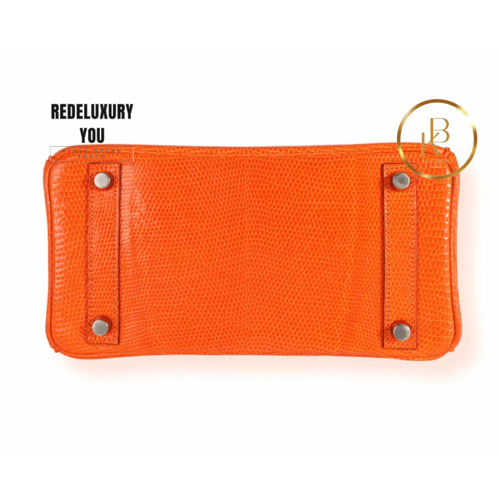 Birkin 25 Tangerine Shiny Lizard