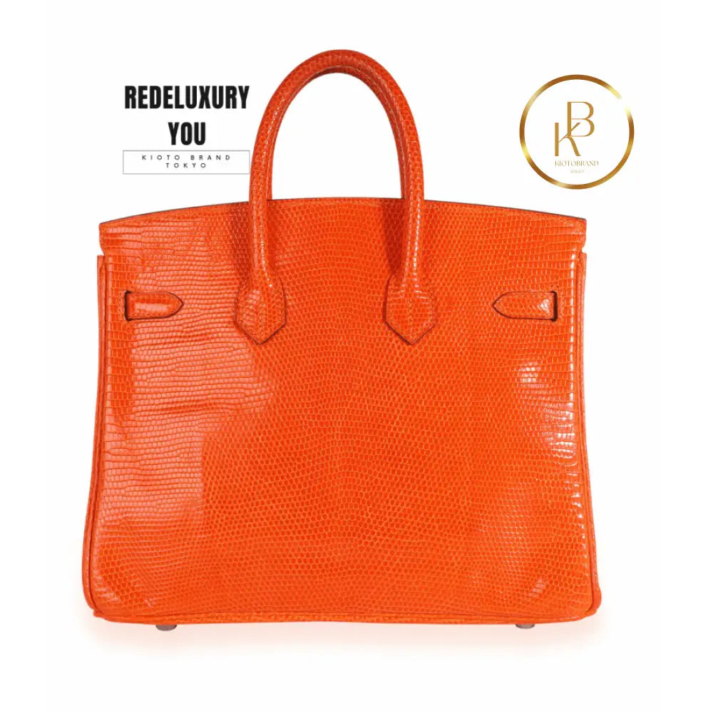 Birkin 25 Tangerine Shiny Lizard