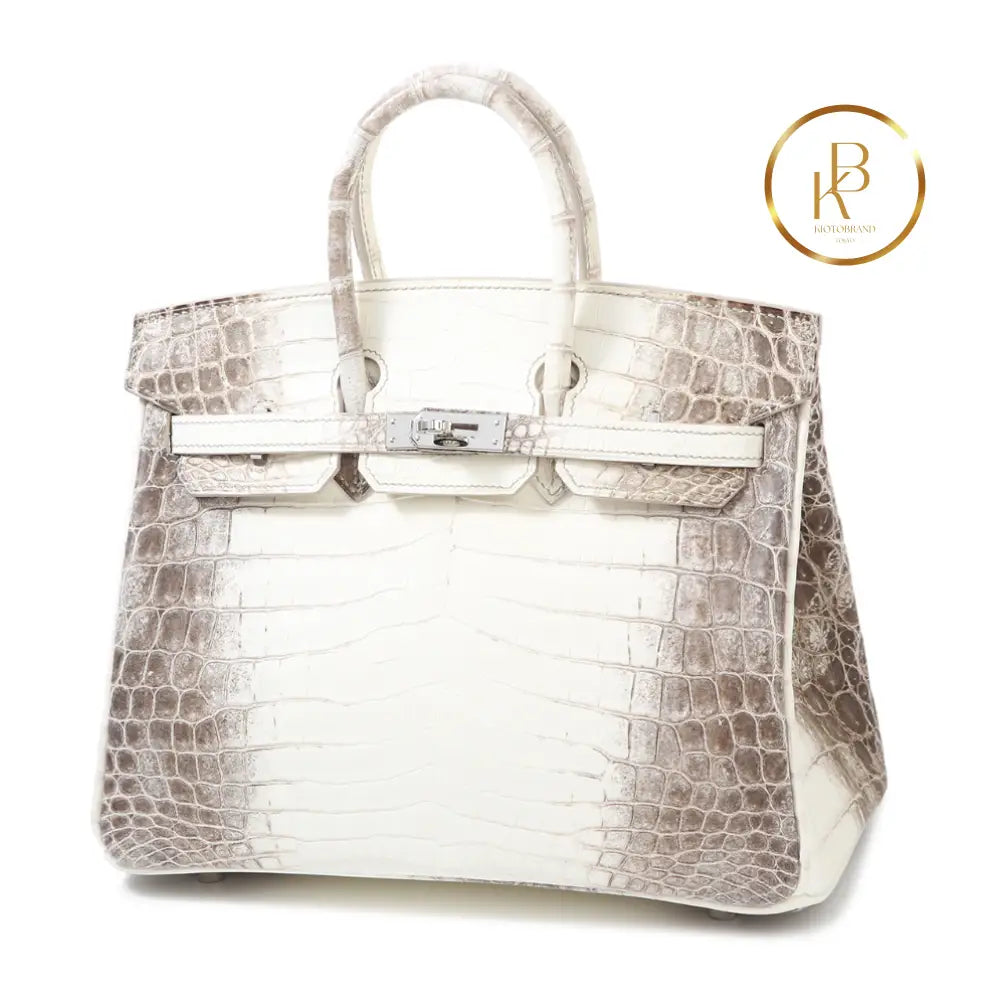 Birkin 25 Himalaya Matte Niloticus Croc Handbags