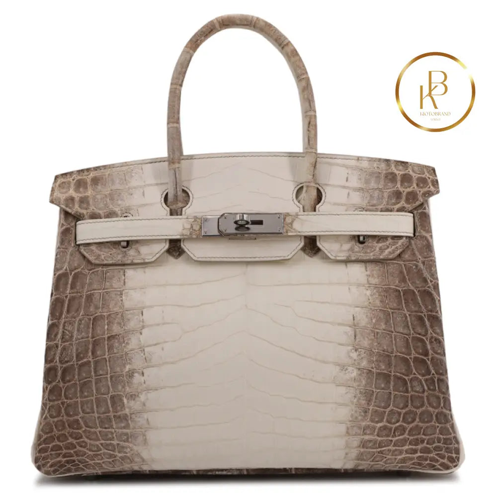 Birkin 30 Himalaya Matte Niloticus Croc Handbags