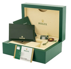 Rolex Day-Date 118395 Br Watches