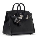 Birkin 20 Shiny Black Niloticus Lizard Palladium Sellier