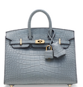 Birkin 20 Matte Gris Alligator Gold Sellier