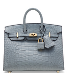 Birkin 20 Matte Gris Alligator Gold Sellier