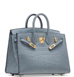 Birkin 20 Matte Gris Alligator Gold Sellier