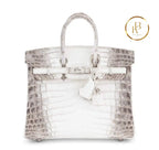 Birkin 25 Himalaya Matte Niloticus Croc Handbags