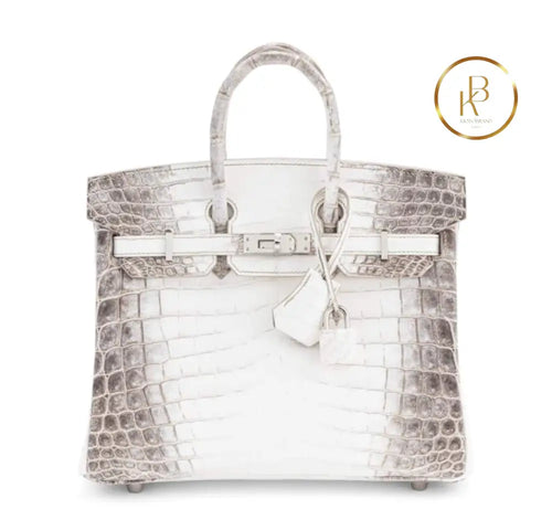 Birkin 25 Himalaya Matte Niloticus Croc Handbags