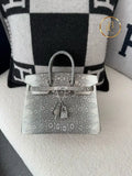 Birkin 25 Ombre Lizard Palladium Hardware
