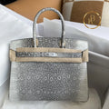 Birkin 25 Ombre Lizard Palladium Hardware