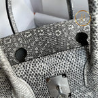 Birkin 25 Ombre Lizard Palladium Hardware