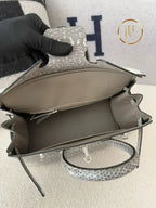 Birkin 25 Ombre Lizard Palladium Hardware