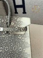 Birkin 25 Ombre Lizard Palladium Hardware