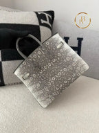 Birkin 25 Ombre Lizard Palladium Hardware