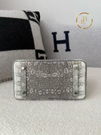 Birkin 25 Ombre Lizard Palladium Hardware