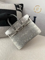 Birkin 25 Ombre Lizard Palladium Hardware