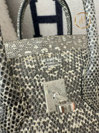 Birkin 25 Ombre Lizard Palladium Hardware
