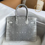 Birkin 25 Ombre Lizard Palladium Hardware