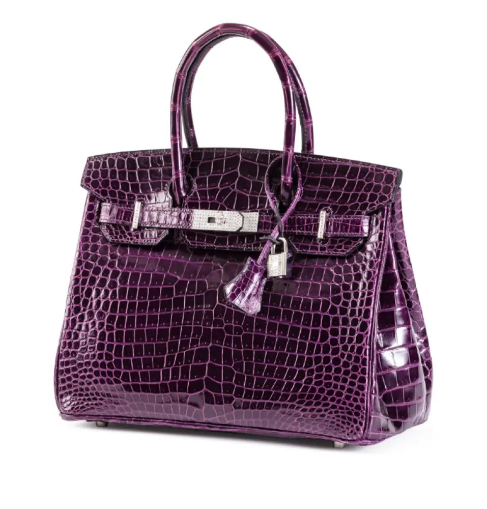 Birkin 30 Améthyste Shiny Porosus Croco 18K White Gold Diamond hardware - handbags