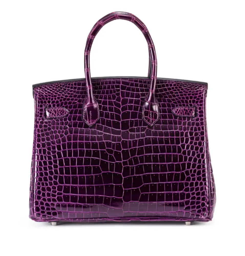 Birkin 30 Améthyste Shiny Porosus Croco 18K White Gold Diamond hardware - handbags