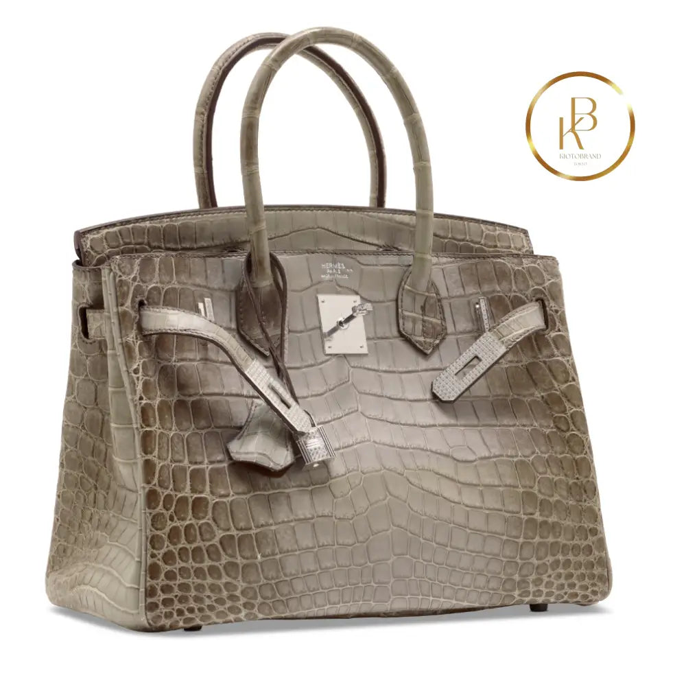 Birkin 30 Himalaya Matte Gris Cendrè 18K White Gold Diamond Hardware handbags