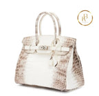 Birkin 30 Himalaya Matte Nile Croco Handbags