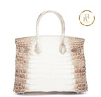Birkin 30 Himalaya Matte Nile Croco Handbags