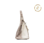 Birkin 30 Himalaya Matte Nile Croco Handbags