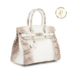 Birkin 30 Himalaya Matte Nile Croco Handbags