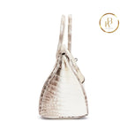 Birkin 30 Himalaya Matte Nile Croco Handbags