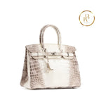 Birkin 30 Himalaya Matte Nile Croco Handbags