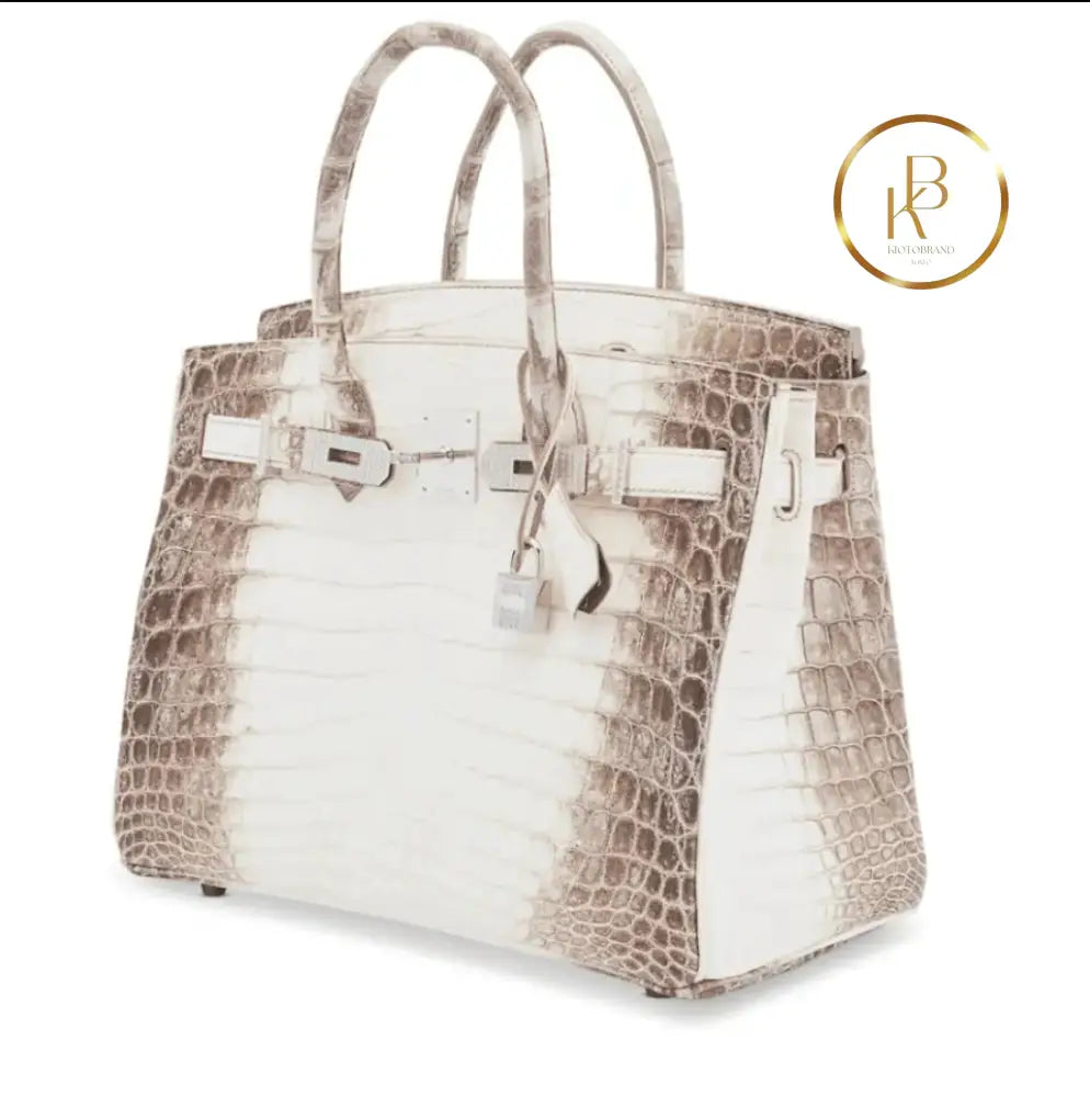 Birkin 30 Matte Himalaya Niloticus 18K White Gold Diamond Hardware - handbags