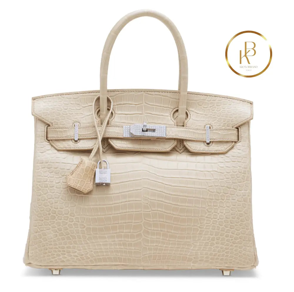 Birkin 30 Matte Poudre Porosus croco 18K White gold & Diamond hardware handbags