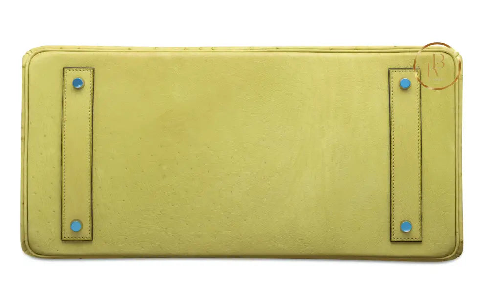 Birkin JPG Shoulder 42 I Vert Anis Ostrich Palladium handbags